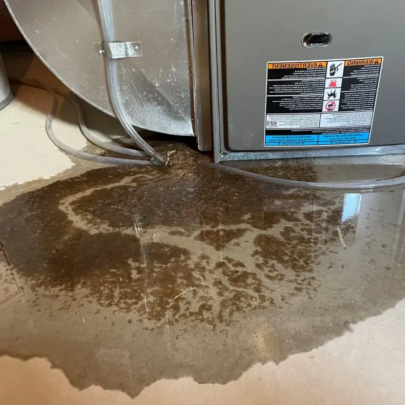 Pipe Burst and Leak Restoration in Hurstbourne Acres, KY