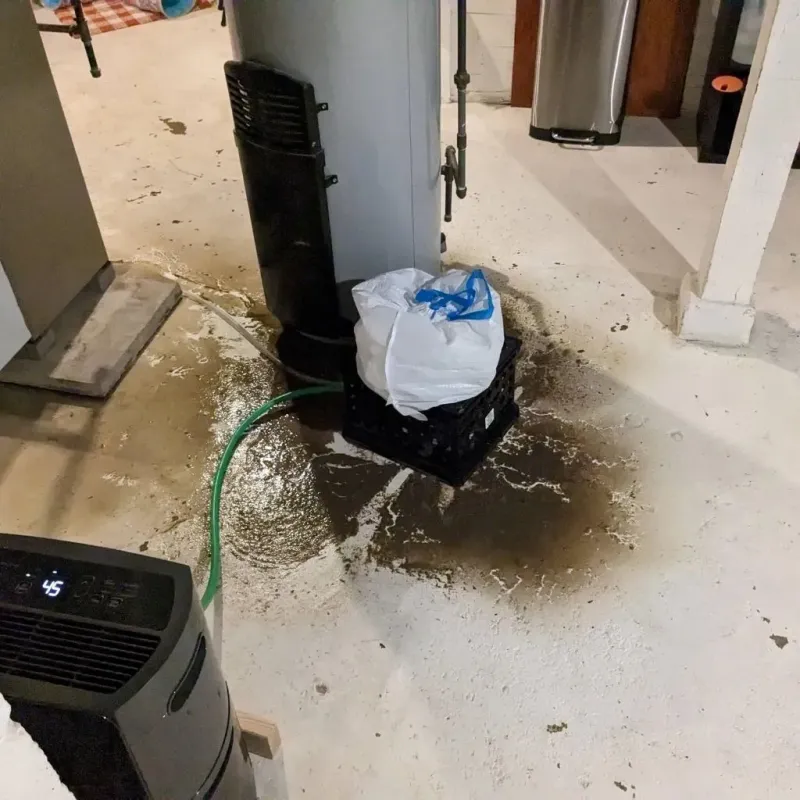 Sewage Backup Cleanup Service in Hurstbourne Acres, KY